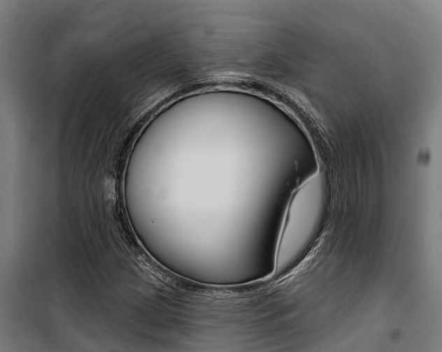 X0000100751209200806190815