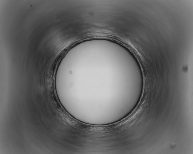 X0000100751211200806190815