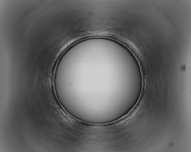 X0000100751212200806190815