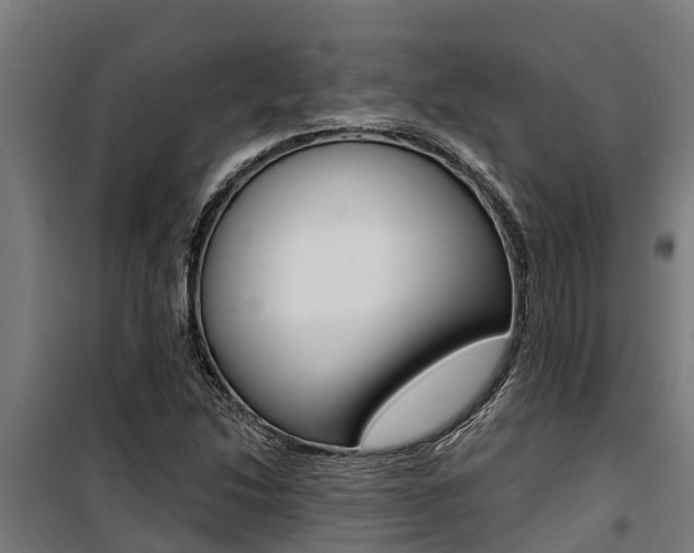 X0000100751214200806190815
