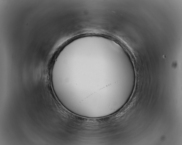 X0000100751215200806190815