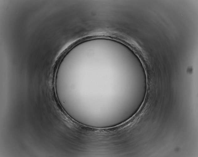 X0000100751216200806190815