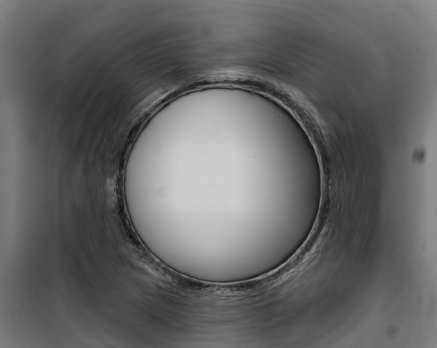 X0000100751217200806190815
