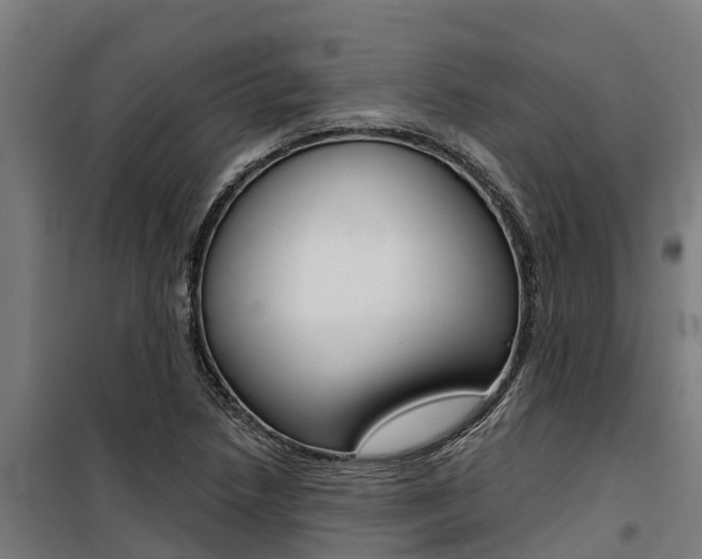 X0000100751218200806190815