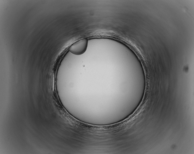 X0000100751219200806190815