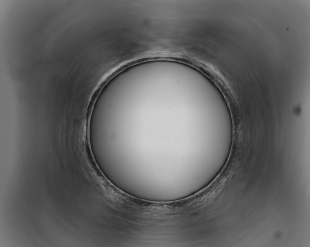 X0000100751220200806190815