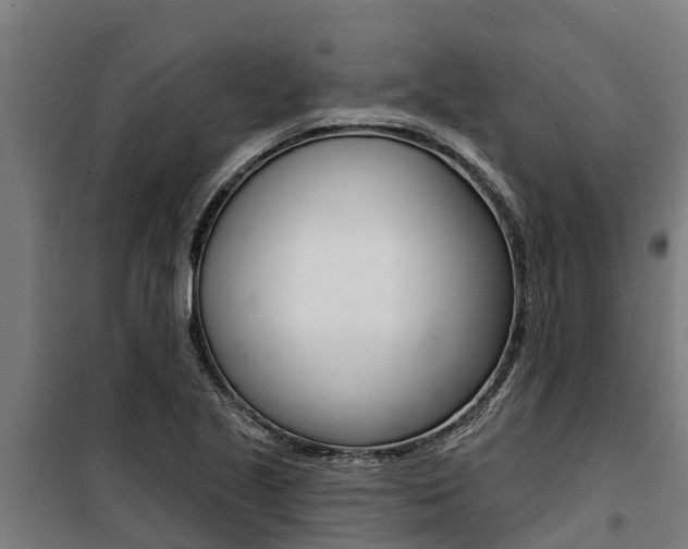 X0000100751221200806190815