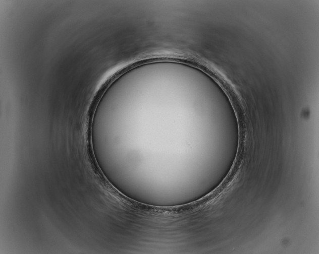 X0000100751222200806190815