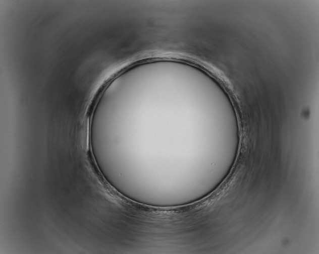 X0000100751223200806190815
