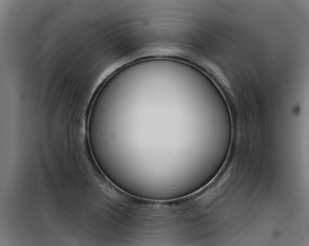 X0000100751226200806190815