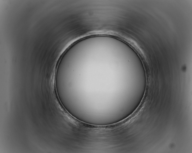 X0000100751228200806190815