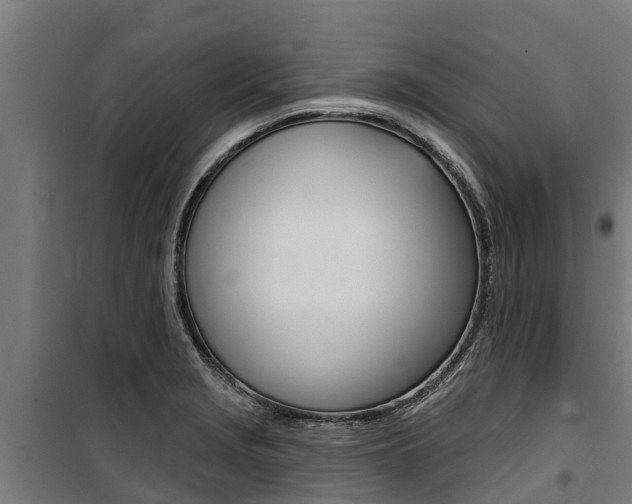 X0000100751229200806190815