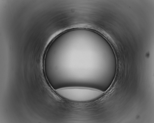 X0000100751230200806190815