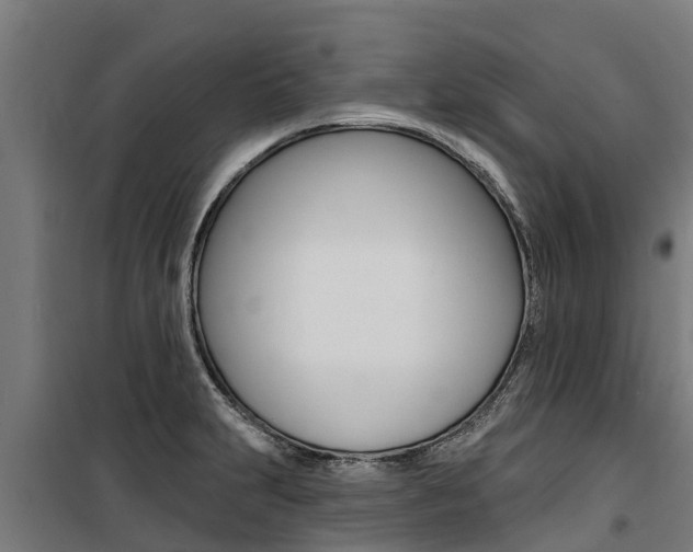 X0000100751231200806190815