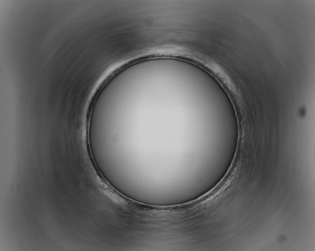 X0000100751232200806190815