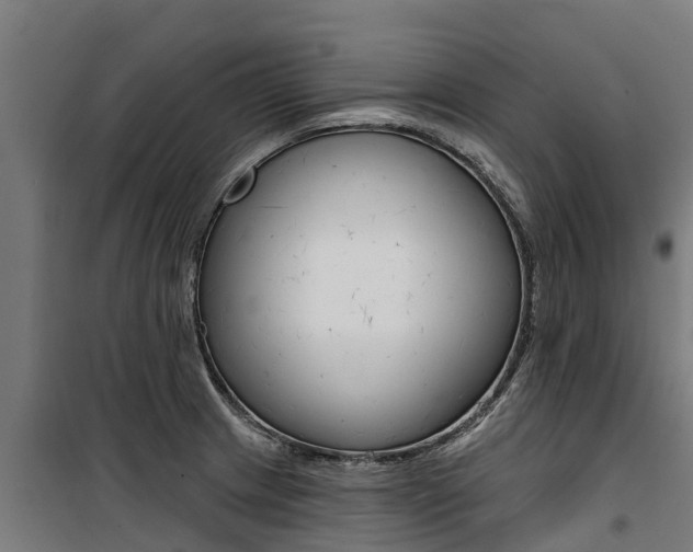 X0000100751233200806190815