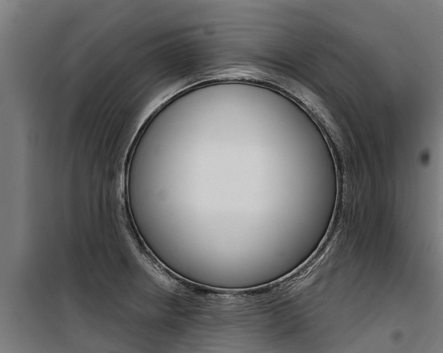 X0000100751234200806190815
