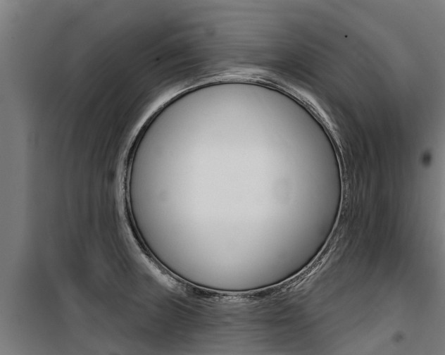X0000100751235200806190815