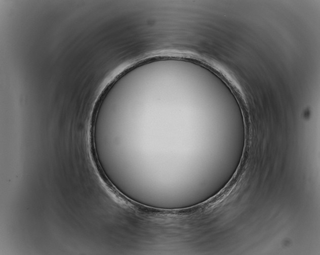 X0000100751237200806190815
