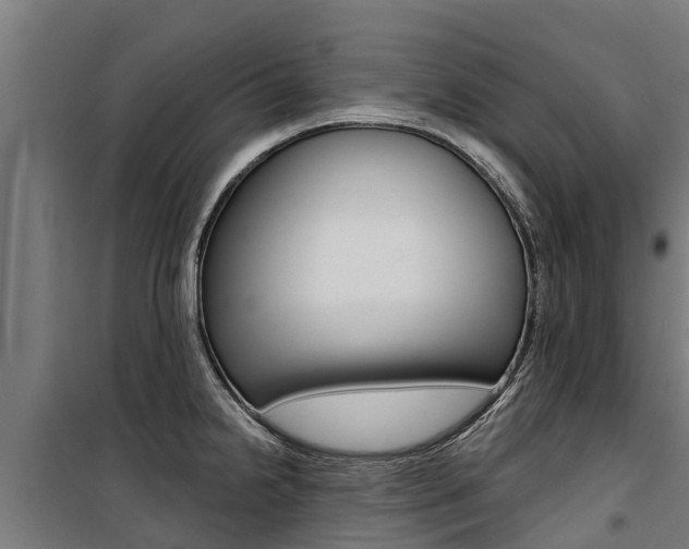 X0000100751238200806190815