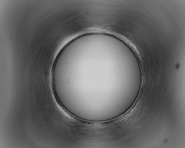 X0000100751239200806190815