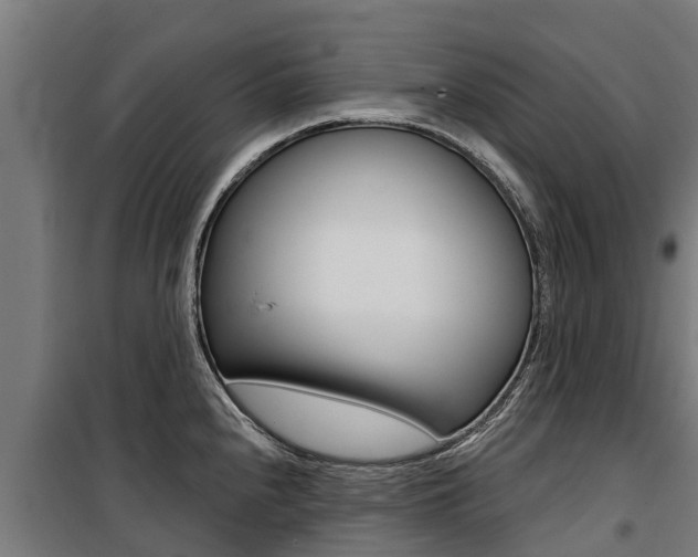 X0000100751240200806190815