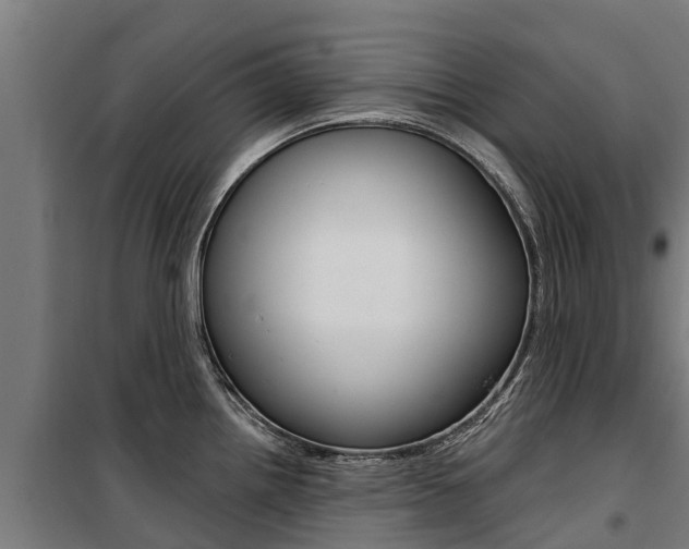 X0000100751242200806190815