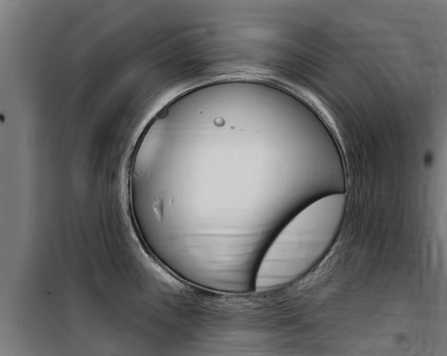 X0000100751243200806190815