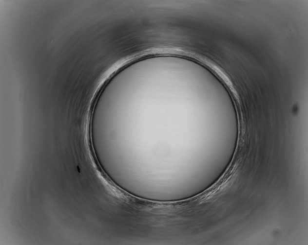X0000100751245200806190815