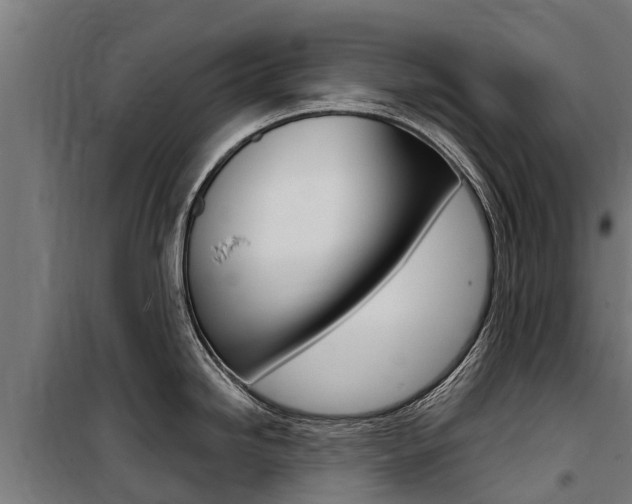 X0000100751246200806190815