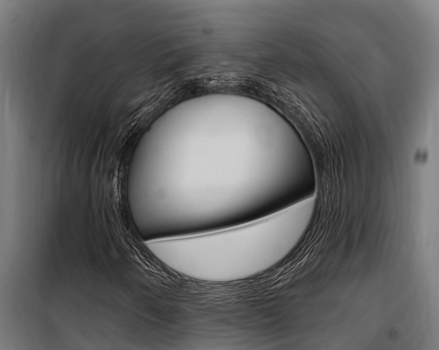 X0000100751250200806190814