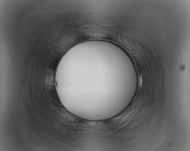 X0000100751251200806190814