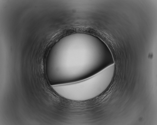 X0000100751252200806190814