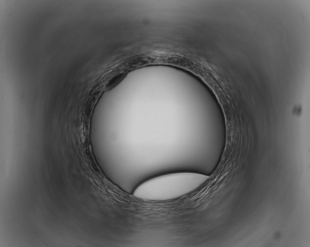 X0000100751253200806190814