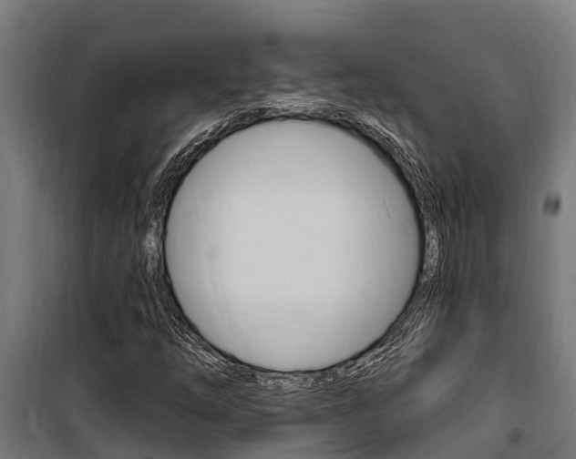 X0000100751254200806190814