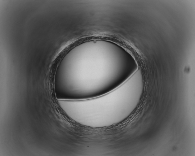 X0000100751256200806190814