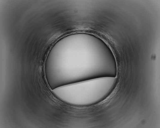 X0000100751257200806190814
