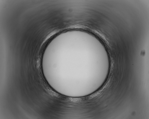 X0000100751258200806190814