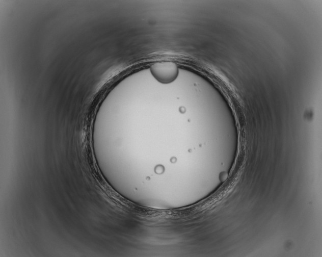 X0000100751259200806190814