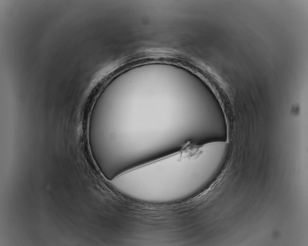X0000100751261200806190814