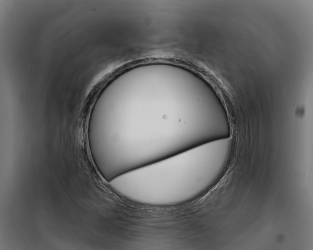 X0000100751262200806190814