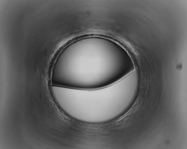 X0000100751264200806190814