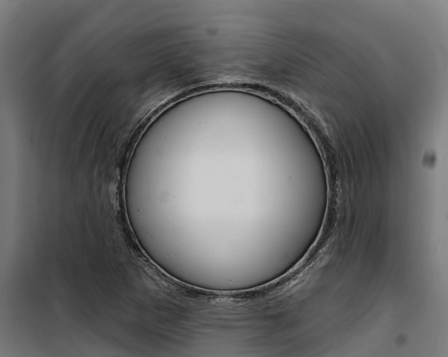 X0000100751265200806190814