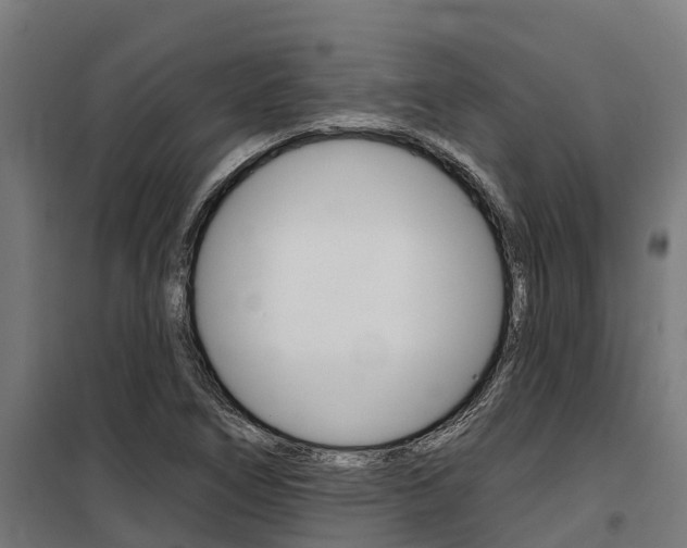 X0000100751266200806190814