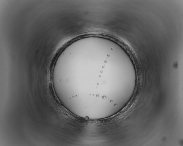 X0000100751267200806190814