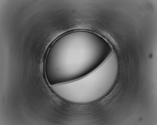 X0000100751268200806190814