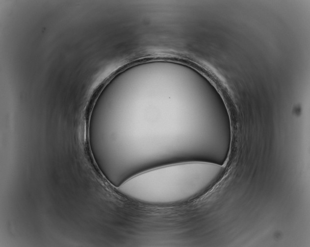 X0000100751269200806190814