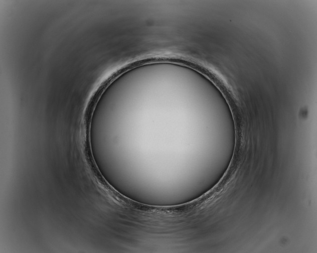 X0000100751270200806190814
