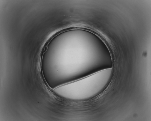 X0000100751272200806190814