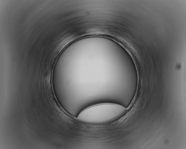 X0000100751273200806190814